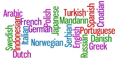 Which is the official language of UAE?