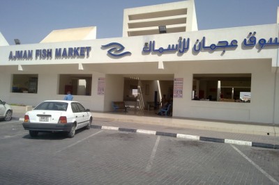 Video: Ajman Fish Market