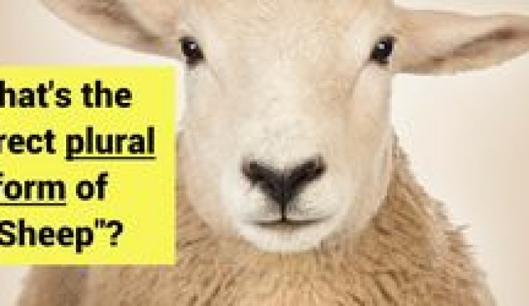 Only 4% Of Women Passed This 5th Grade Vocabulary Test. Can You?