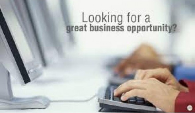 I Am Looking For A Great Business Opportunity
