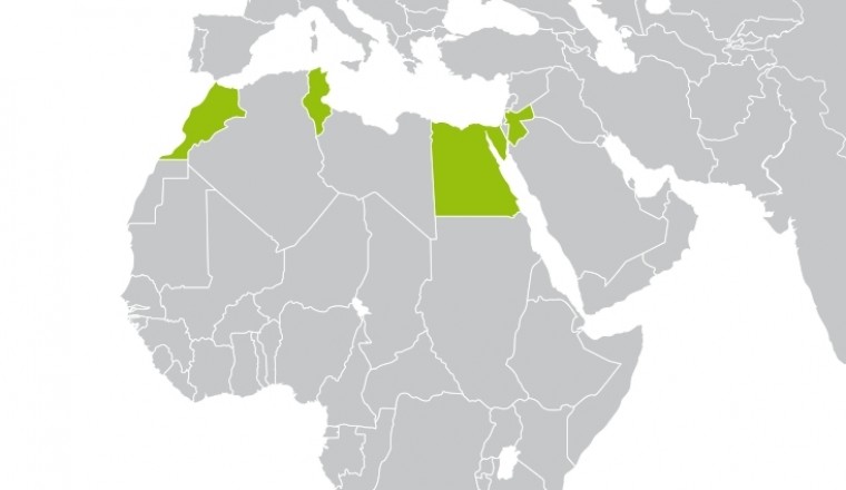 Capacity Building to Unlock Private Finance for Green Energies: RENAC's Green Banking Programme Now Launched for the MENA Region