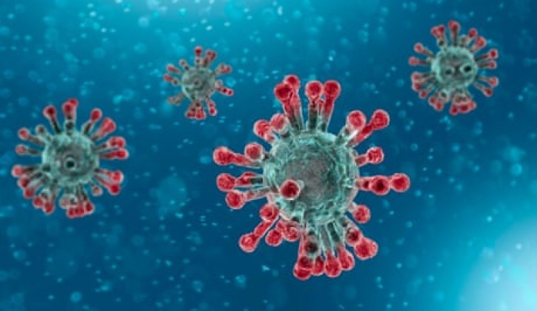 Johns Hopkins University has sent this detailed note on avoiding the contagion of COVID-19
