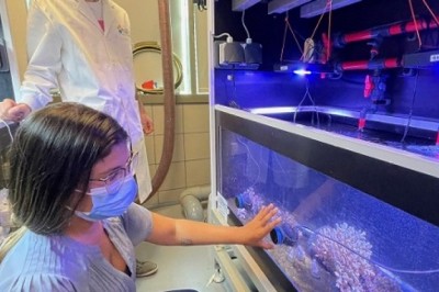 Probiotica voor koraal bevorderen herstelvermogen, helpen afsterven voorkomen