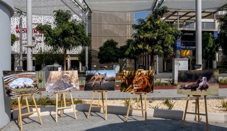 Kuwaiti photographer displays wildlife photos at Expo 2020 Dubai