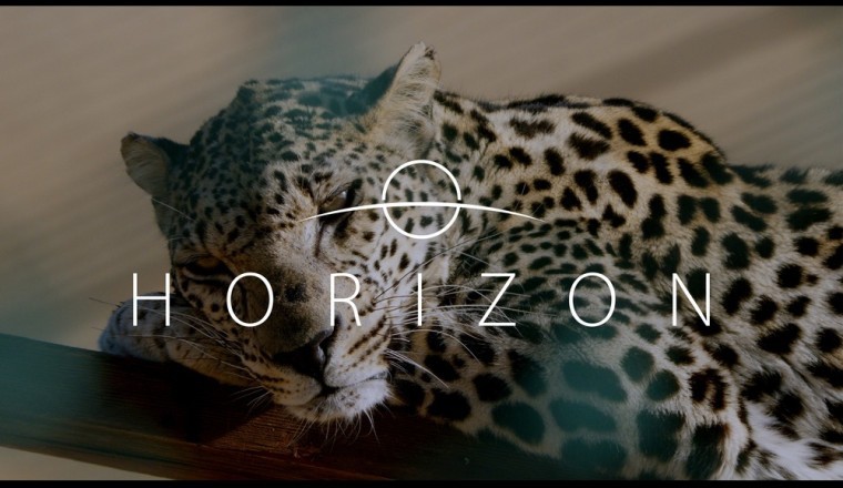 Saudi Arabia’s Ministry of Media launches Horizon documentary on Netflix, about wildlife in the Kingdom