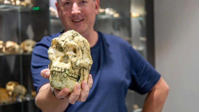 A legendary fossil is forcing scientists to rethink human origins