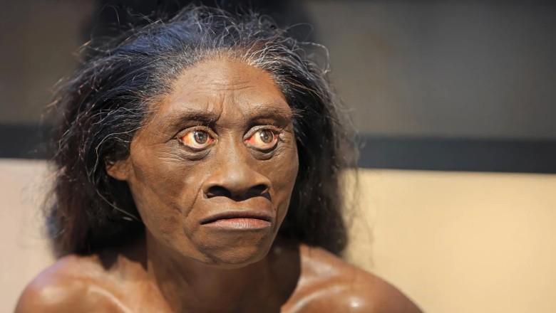 Ancient drought may have wiped out the real-life hobbits 61,000 years ago